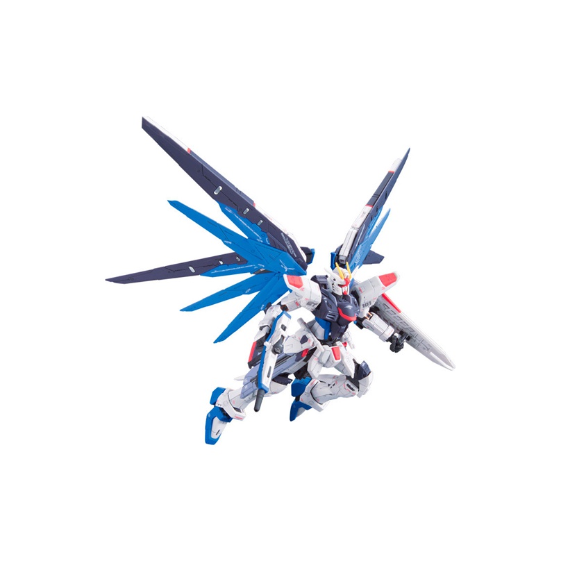 BANDAI Mobile Suit Gundam SEED - Bandai Gundam Rg 评论和价格
